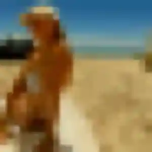 Profil de Chloe à Civray (42 ans) - plan cul anonyme