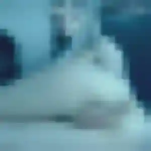 Nina, 34 ans, dispo pour plan cul à Claira