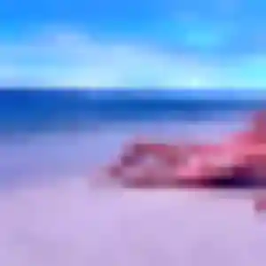 Rym de Clapiers, 22 ans - plan cul sans lendemain