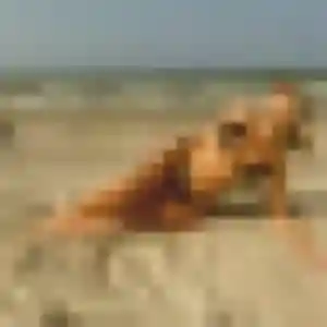 Domitille, femme de 35 ans veut plan cul à Clermont-Ferrand