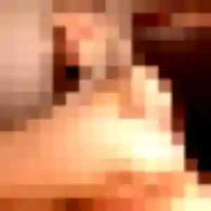 Regine, 40 ans, dispo pour plan cul à Coarraze