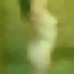 Photo perso de Sofia, 34 ans à Cœur de Causse - plan discret