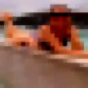 Idalina, 41 ans, dispo pour plan cul à Cogny