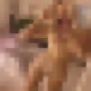 Sexy Dina, 41 ans à Coincy - la contacter