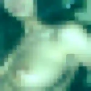 Photo privée de Siham, 23 ans à Commer - plan discret