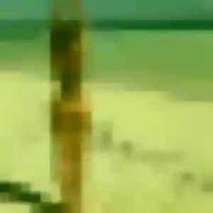 Meriem, fille de 42 ans cherche plan cul à Comps