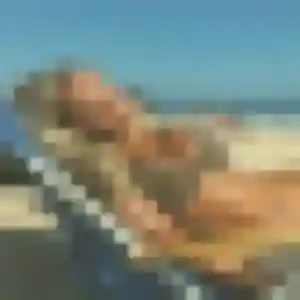 Profil de Roxane à Comps (40 ans) - plan cul discret