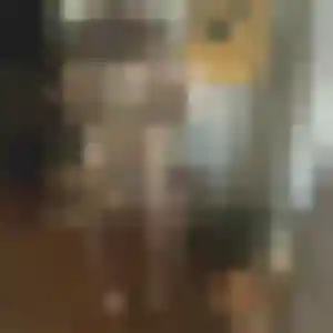 Sibylle, 23 ans, en ligne à Concremiers pour une rencontre coquine