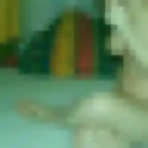 Photo de Odile à Condette (29 ans) - plan cul anonyme