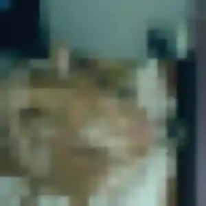 Lea, 37 ans, connectée à Congénies pour un plan cul