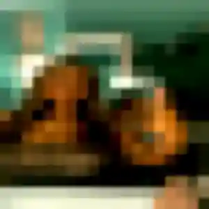 Photo de Maeva à Coquelles (24 ans) - plan cul anonyme