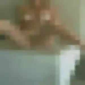 Jolie Naomi, 36 ans à Couches - la contacter