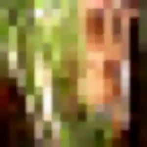 Jolie Louise, 31 ans à Couëron - la contacter