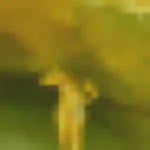 plan cul à Couëron : photo de Theresa, 44 ans - inscription gratuite