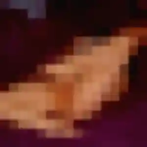 Belle Debora, 27 ans à Courbevoie - la contacter