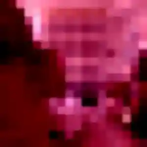 Photo perso de Renee, 39 ans à Courçon - rencontre coquine