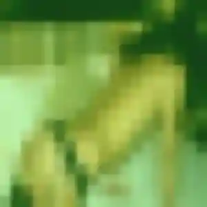 Jolie Oceane, 37 ans à Courcy - la contacter