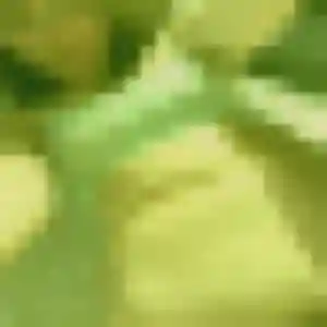 Sexy Charlotte, 33 ans à Courdemanche - la contacter