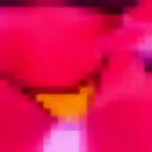 Photo sexy de Gisele, 23 ans à Courtisols - rencontre sans lendemain