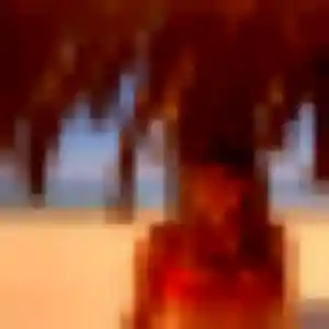 Photo de Dana à Crochte (29 ans) - plan cul gratuit