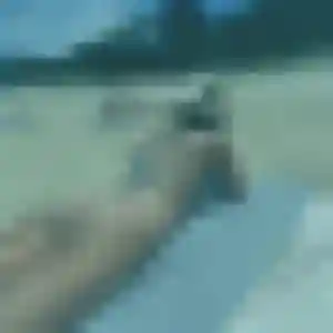 plan cul à Curgies : photo de Lise, 42 ans - sans engagement