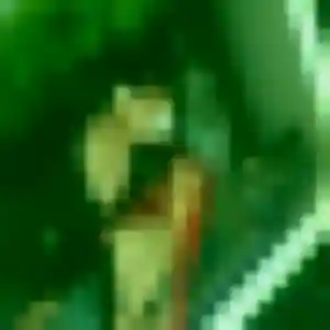 Découvre Paloma, 30 ans à Darnieulles en privé