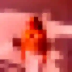 Photo privée de Lily, 23 ans à Dasle - rencontre coquine