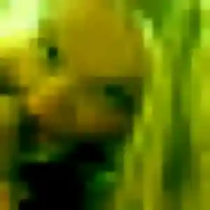 Leana, 34 ans, cherche un plan cul à Dauendorf