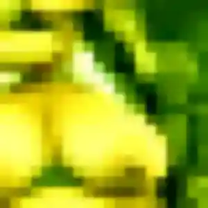 Photo sexy de Sophie, 34 ans à Deaux - rencontre coquine