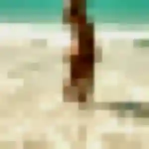 Sexy Jacqueline, 33 ans à Dégagnac - voir sa photo