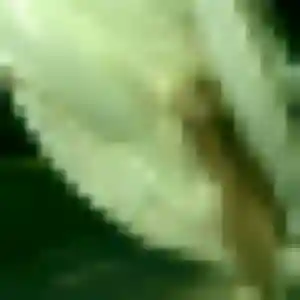 Photo sexy de Catherine, 40 ans à Denguin - rencontre sans lendemain