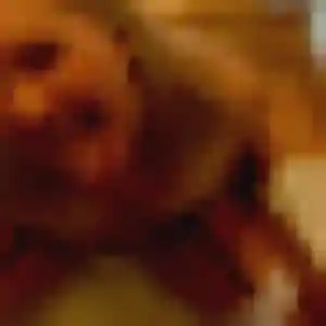 Mylene (35 ans) à Diémoz cherche une rencontre maintenant