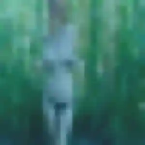 Sara, fille de 22 ans veut plan cul à Digosville