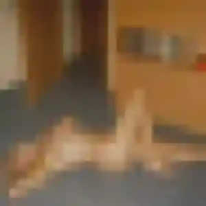 Photo privée de Clotilde, 27 ans à Divion - plan discret