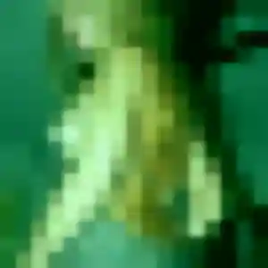 Gladys, 22 ans, en ligne à Dolomieu pour une rencontre coquine