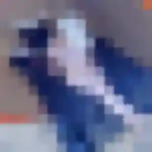 Erika, 32 ans, en ligne à Dompierre-sur-Veyle pour une rencontre coquine