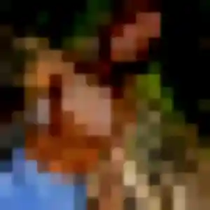 Gaia (44 ans) à Draguignan propose un plan cul aujourd'hui