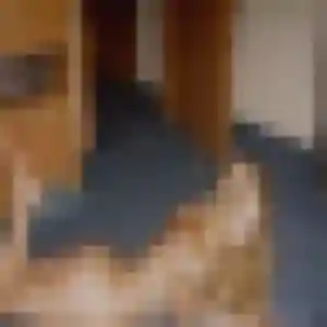 Virginie, fille de 40 ans propose plan cul à Drefféac