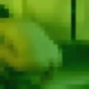 Photo exclusive de Armelle, 37 ans à Drucat - rencontre sans lendemain