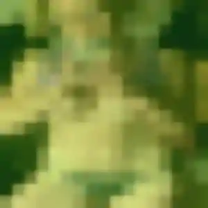 Profil de Nelly à Eaunes (33 ans) - plan cul gratuit