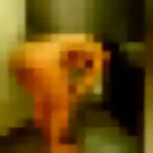 Flore, 22 ans, connectée à Échiré pour un plan cul