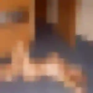 Photo de Giulia à Écommoy (28 ans) - plan cul anonyme