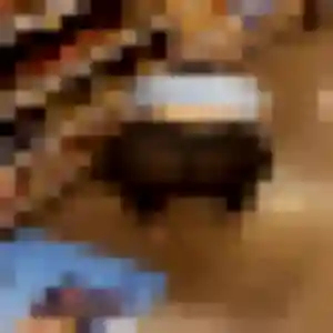 Catherine, fille de 40 ans cherche plan cul à Écouflant