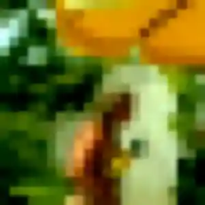 Photo exclusive de Tiffany, 38 ans à Eecke - plan discret