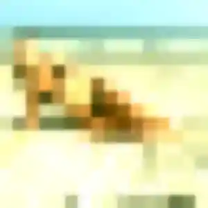 Profil de Jihane à Éguilles (44 ans) - plan cul sans inscription