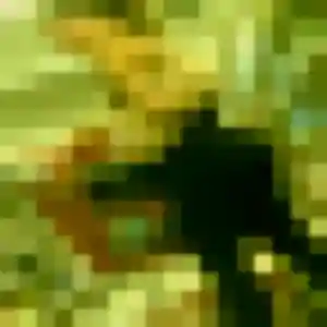 Photo de Bertrane à Élancourt (38 ans) - plan cul anonyme
