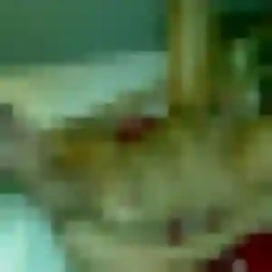 Contacte Leonore, 25 ans à Éloyes en t'inscrivant