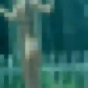 Eglantine, 24 ans, veut un plan cul à Équemauville