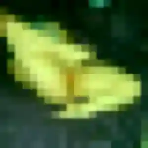 Contacte Laura, 35 ans à Érôme en privé