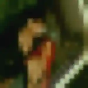 Charmante Samira, 23 ans à Estrun - découvrir son profil